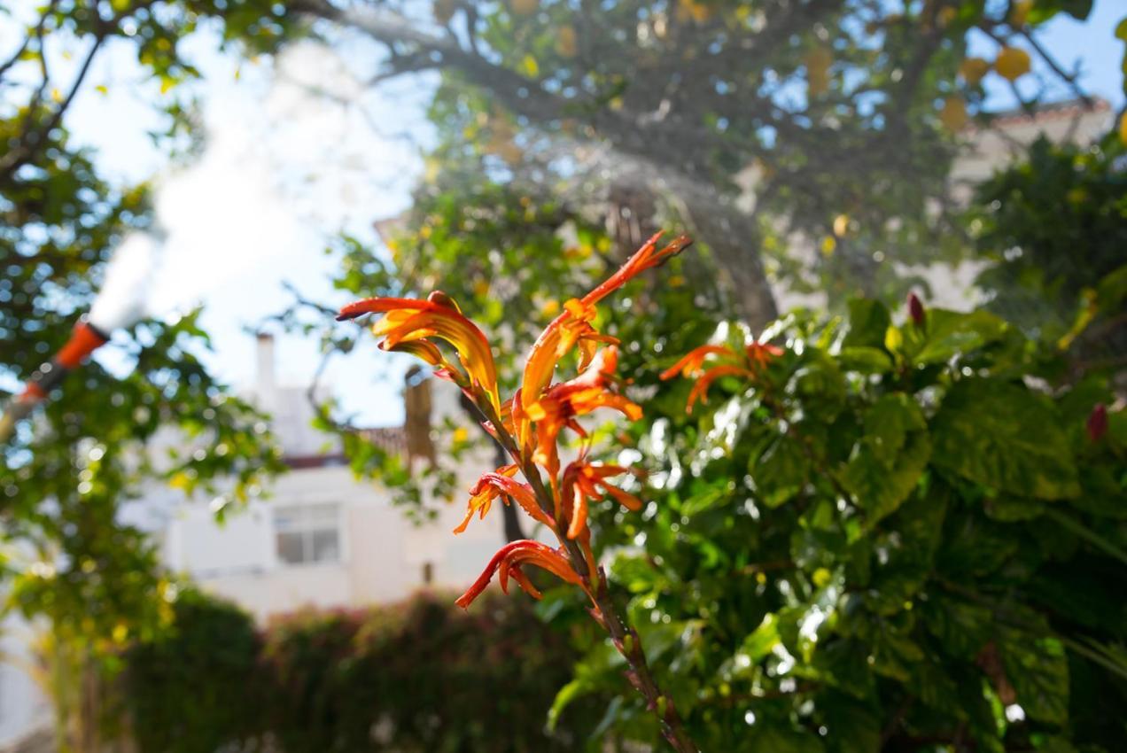Flat With A Garden In Belem Apartman Lisboa Kültér fotó
