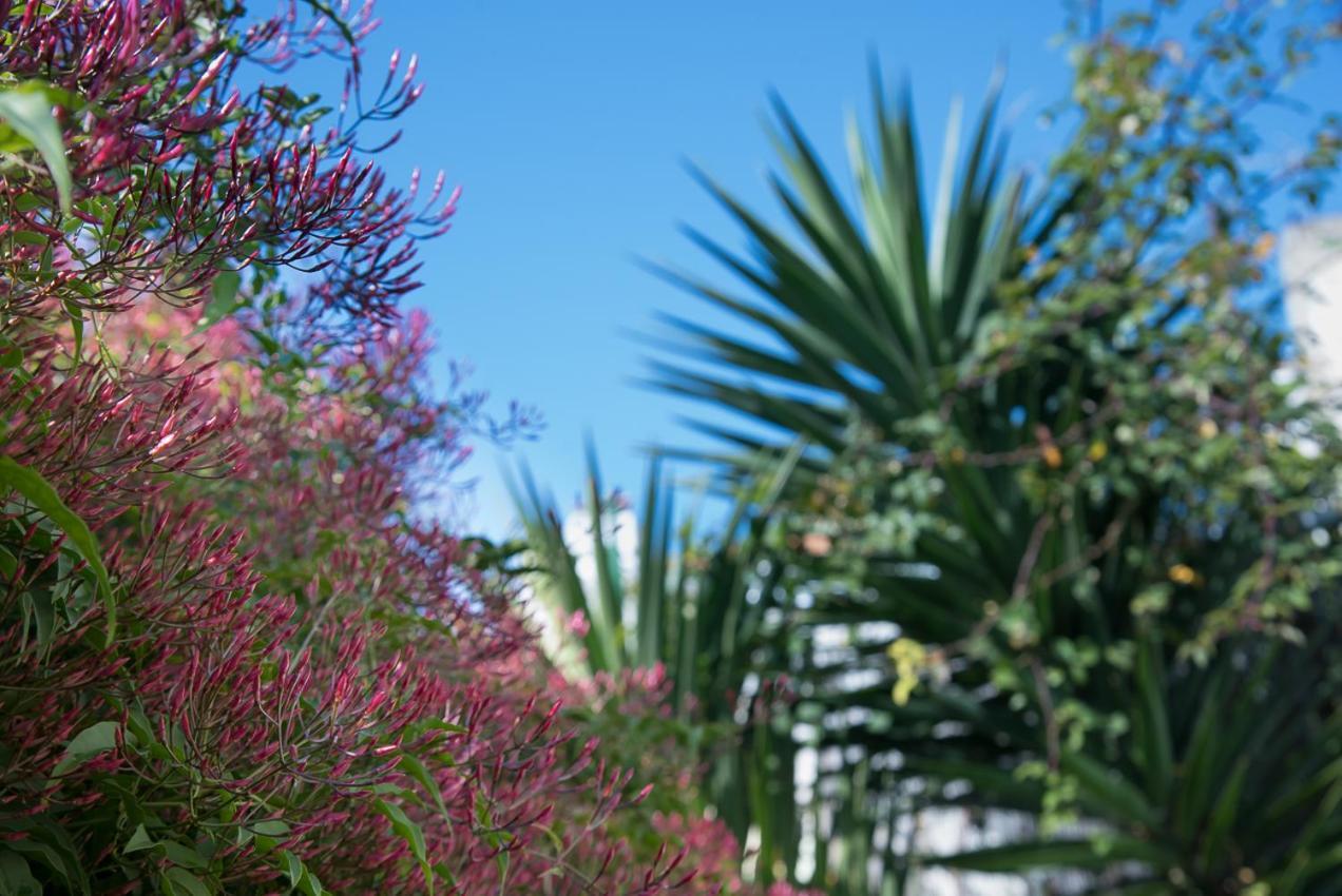 Flat With A Garden In Belem Apartman Lisboa Kültér fotó
